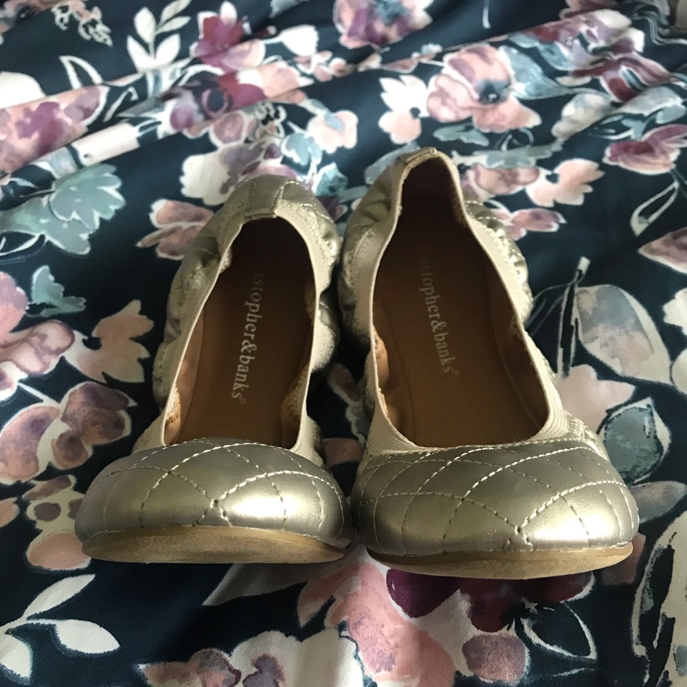 NWT Sliver Flats
